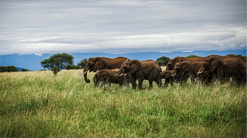 Artboard 19 copy 3@72x-80