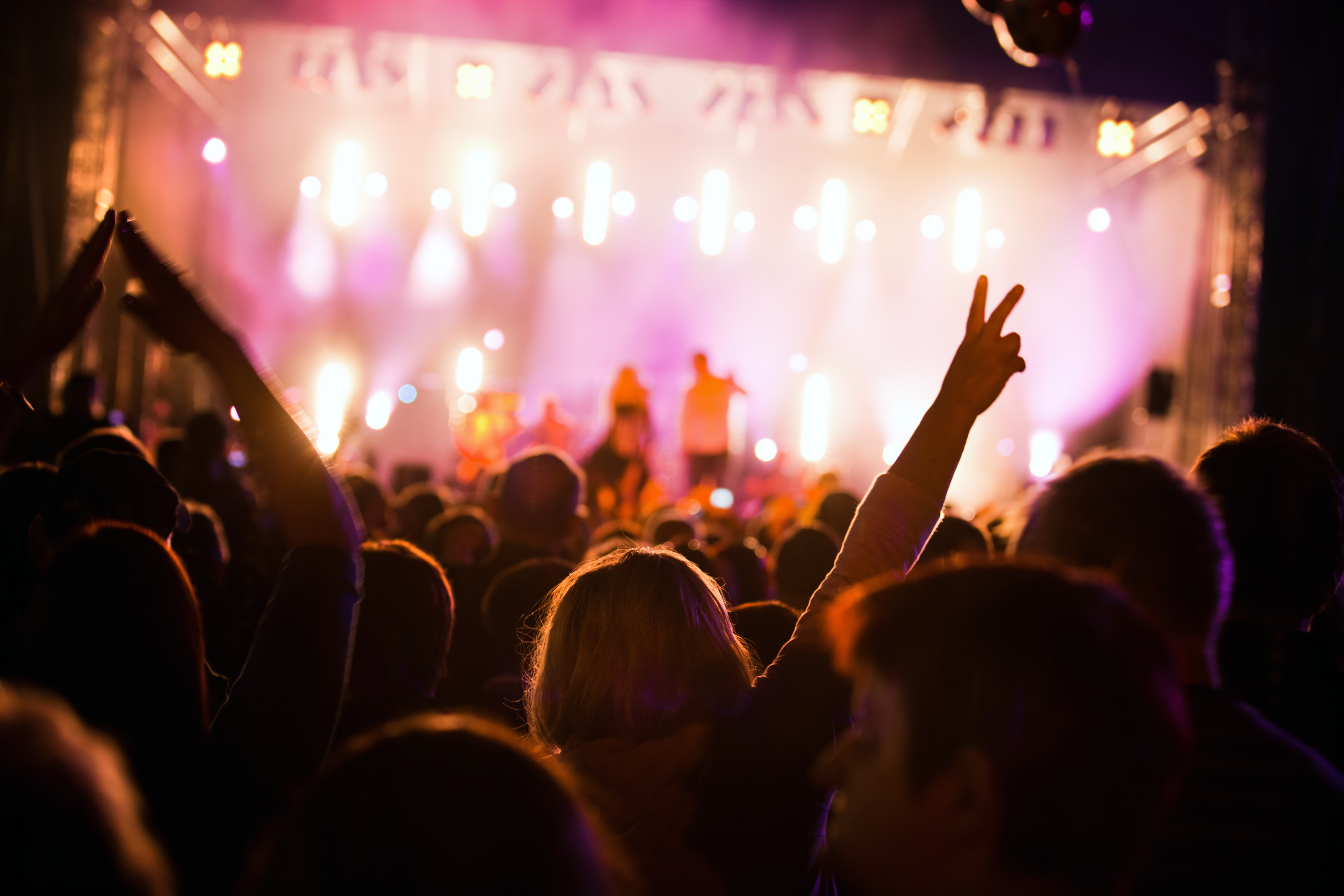 Music Fans at a Concert