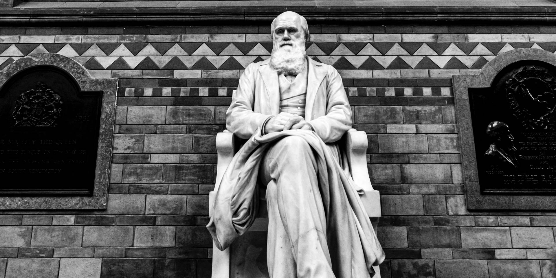 How narrative-based learning can improve your awareness strategy?